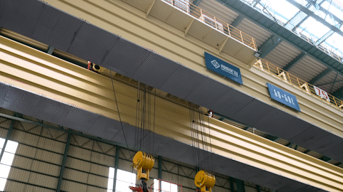 Double Girder Slab Tongs Overhead Crane